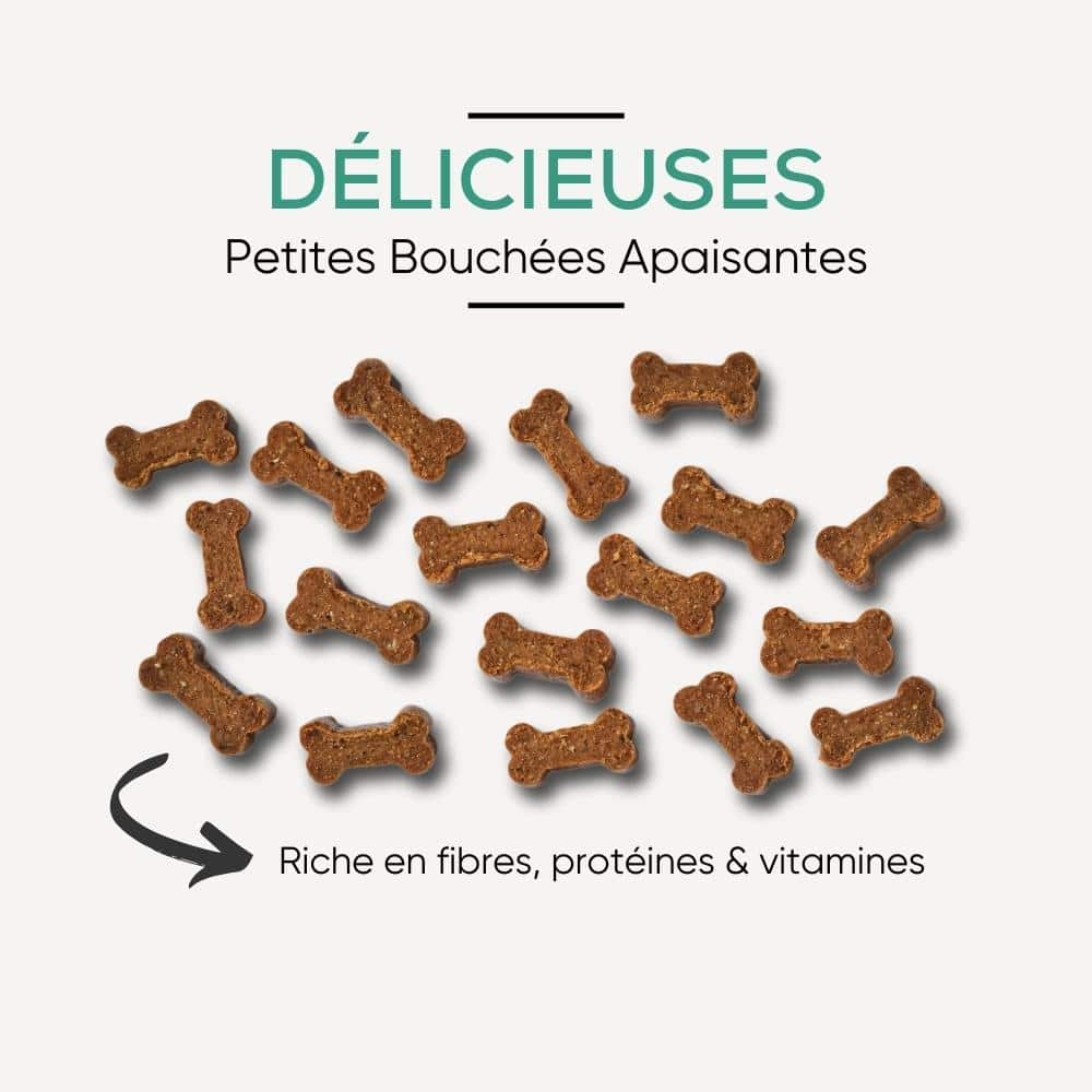 Friandises CBD Apaisantes pour Chien – BOTALICIOUS