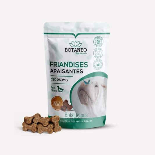 Friandises CBD Apaisantes pour Chien – BOTALICIOUS