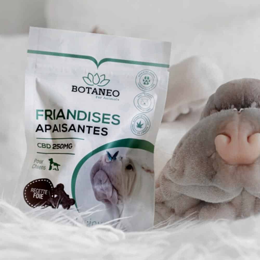 Friandises CBD Apaisantes pour Chien – BOTALICIOUS