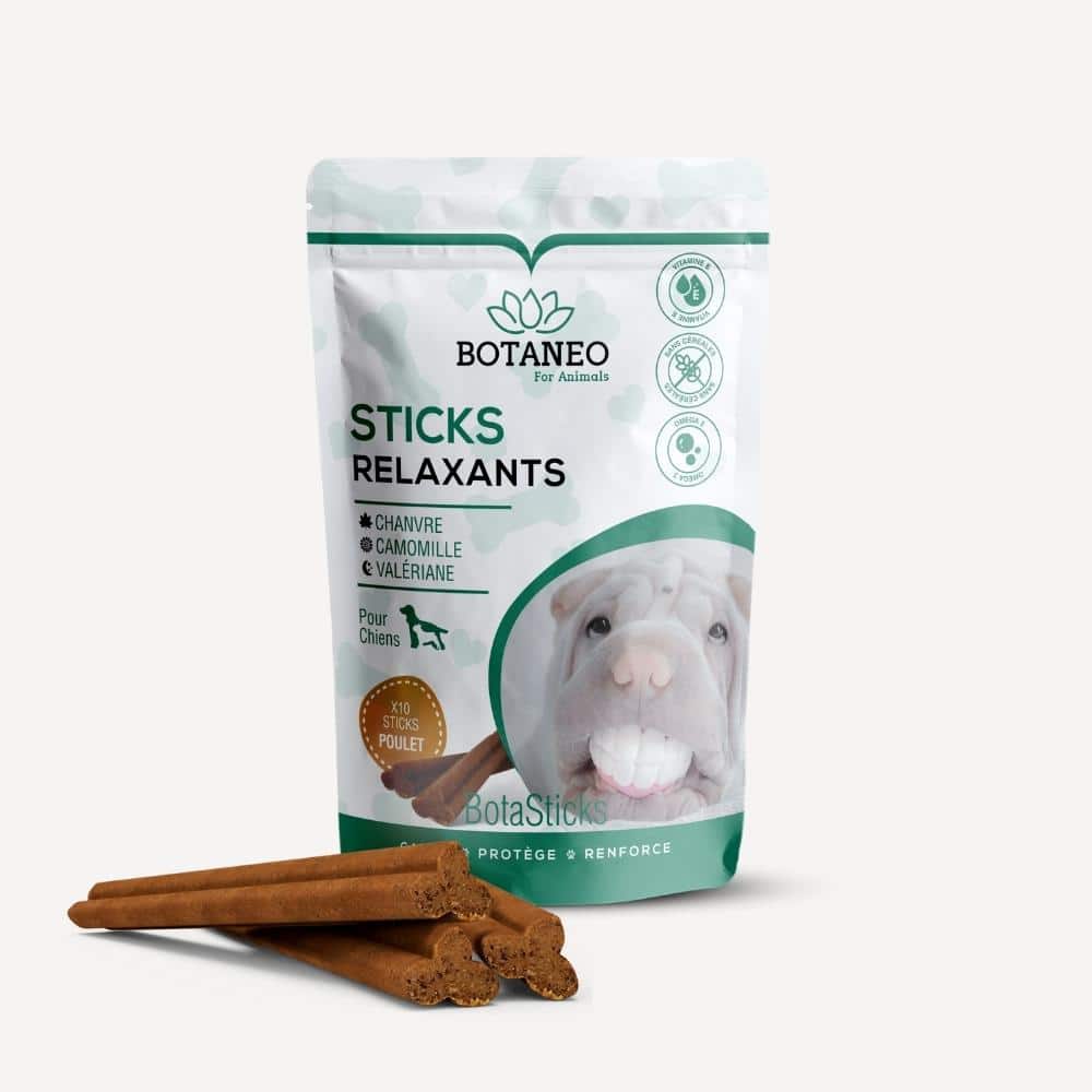 Stick Relaxants pour Chien